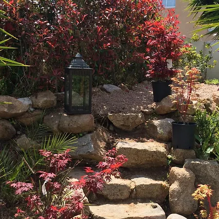 Avec Jardin Route Des Sanguinaires Barbicaja Daire