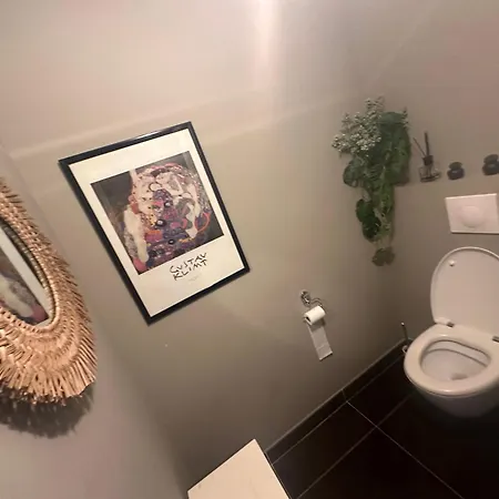 Apartament Avec Jardin Route Des Sanguinaires Barbicaja