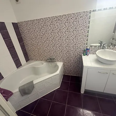 Apartment Avec Jardin Route Des Sanguinaires Barbicaja