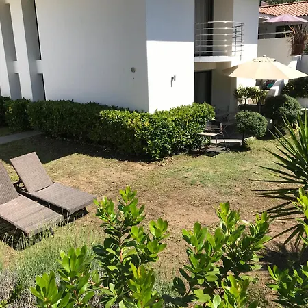 Avec Jardin Route Des Sanguinaires Barbicaja Ajaccio (Corsica)