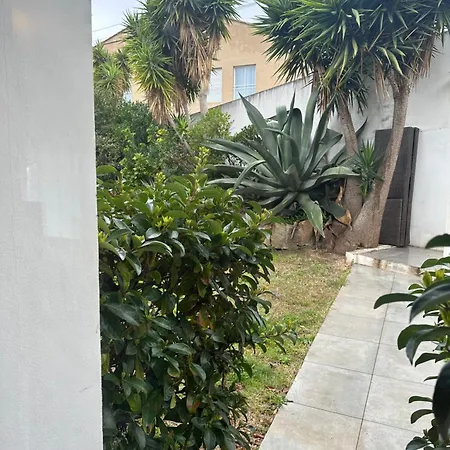 Apartment Avec Jardin Route Des Sanguinaires Barbicaja *