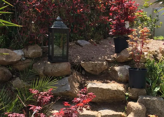 Avec Jardin Route Des Sanguinaires Barbicaja 아파트