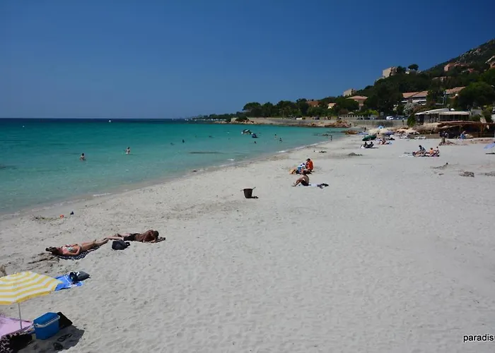 Avec Jardin Route Des Sanguinaires Barbicaja Apartmán Ajaccio (Corsica)