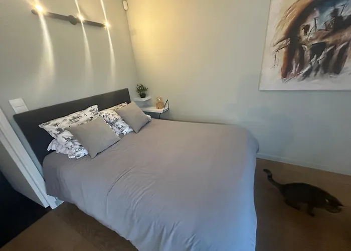 Apartmán Avec Jardin Route Des Sanguinaires Barbicaja *