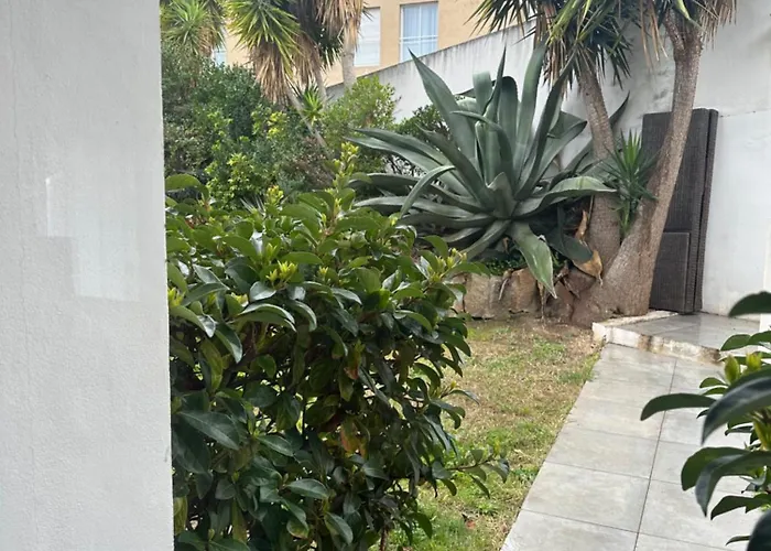 아파트 Avec Jardin Route Des Sanguinaires Barbicaja *